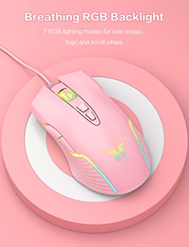 souris d'ordinateur