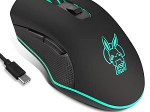 IULONEE Souris Filaire USB Type C