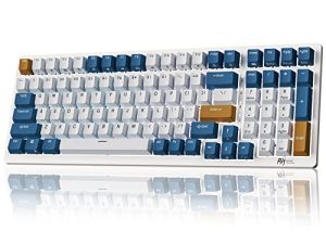 RK ROYAL KLUDGE RK98 Clavier Mécanique Sans