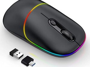 Souris sans fil LED RAPIQUE