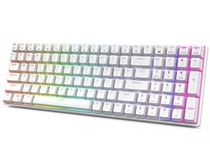 RK ROYAL KLUDGE RK100 2.4G Clavier Mécanique