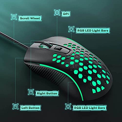 souris d'ordinateur