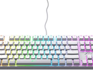 K4 RGB Tenkeyless White Edition