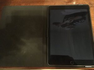 Apple MNV22LLA IPAD AIR2 32 Go Gris