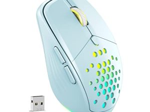 Souris sans fil pour ordinateur portable