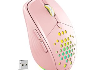 Souris sans fil pour ordinateur portable