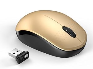 Seenda Souris sans fil avec récepteur Nano