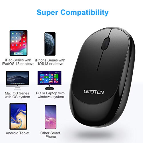 souris sans
