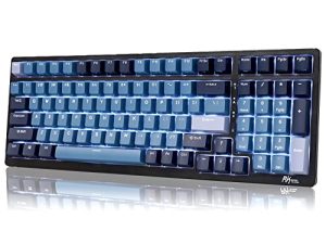 RK ROYAL KLUDGE RK98 Clavier de jeu