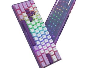 Clavier violet Womier WK61 - Clavier mécanique
