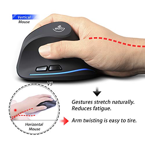 Souris Ergonomique