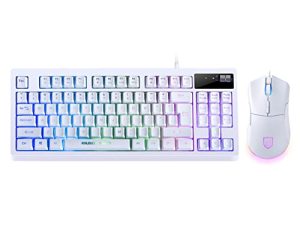 Combo clavier et souris de jeu RVB