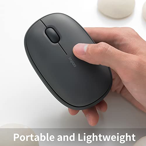 souris sans