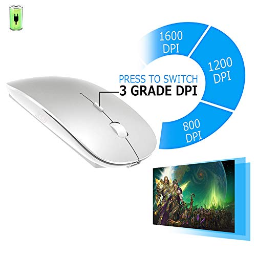 Souris sans