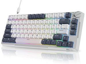 RK ROYAL KLUDGE H81 Clavier mécanique remplaçable
