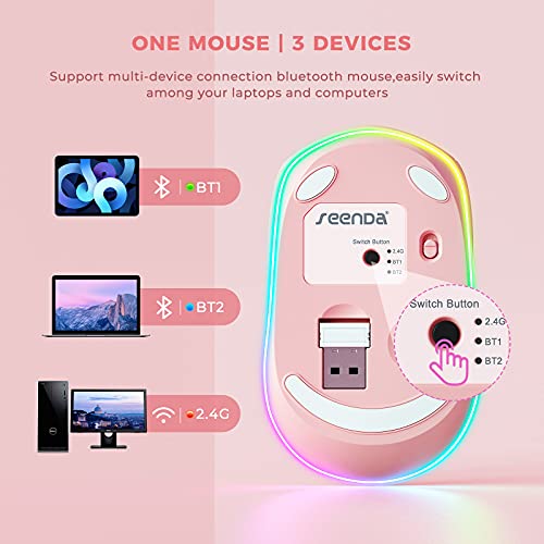 Souris sans Fil Rechargeable