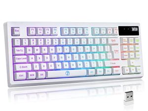 ZJFKSDYX L87 Clavier de jeu sans fil