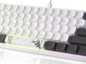 Clavier de jeu mécanique CHARAN SK61 61
