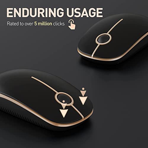 souris silencieuse 2