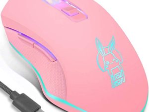 IULONEE Souris Filaire USB Type C