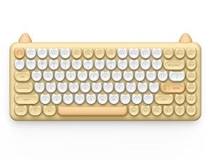 IQUNIX M80 Clavier mécanique sans fil Purry