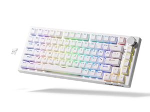 LTC NB831 Clavier mécanique sans fil 75