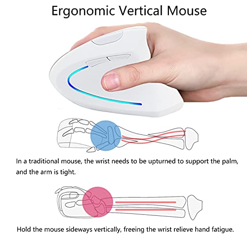 souris verticale rechargeable ergonomique sans