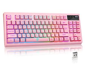 ZJFKSDYX L87 Clavier de Jeu sans Fil