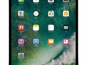 APPLE MPGH2LL/A iPad Pro avec Wi-Fi 512