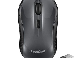 LeadsaiL Souris sans fil silencieuse 2