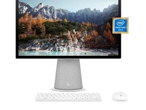 Ordinateur de bureau tout-en-un HP Chromebase 21