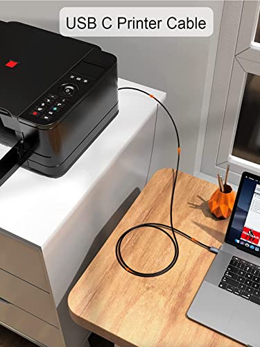 CableCreation Câble d'imprimante USB B vers USB-2