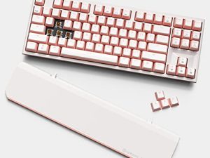 Hexgears X3 TKL Clavier mécanique sans fil