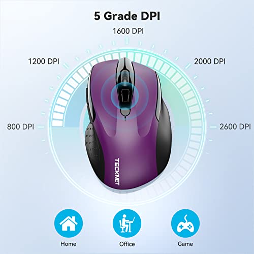 souris d'ordinateur