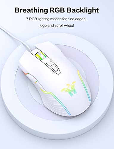 souris d'ordinateur