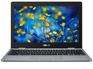 Ordinateur portable ASUS 2022 Chromebook CX22NA 11