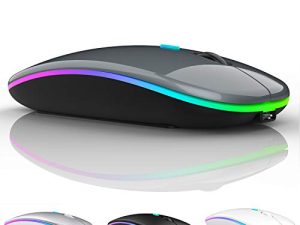 Souris Bluetooth pour iPad