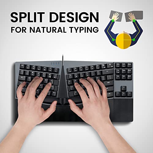 Perixx PERIBOARD-335BR Clavier filaire compact mécanique ergonomique – Image 2