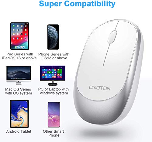 Souris sans