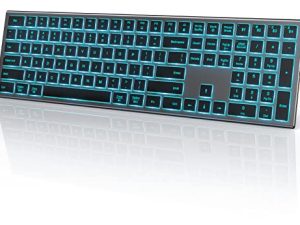 Seenda Clavier sans fil rétroéclairé pour Mac