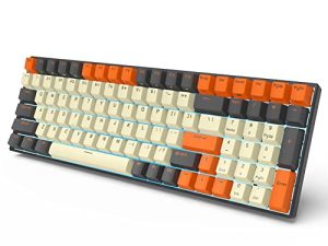 RK ROYAL KLUDGE RK100 Clavier mécanique sans