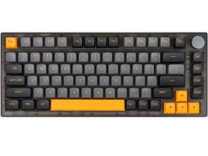 FEKER Clavier Mécanique de Jeu sans Fil