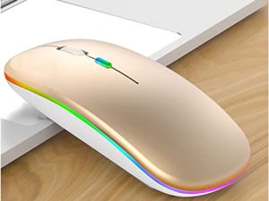 Souris sans fil Bluetooth rechargeable pour ordinateur
