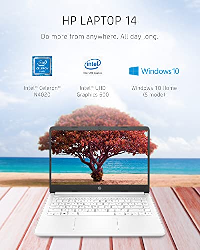 Intel Celeron N4020