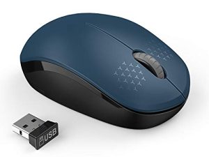 Souris sans fil seenda
