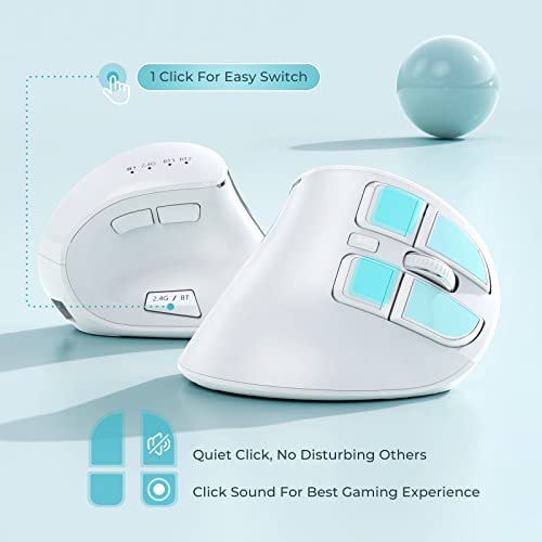 Souris Verticale Sans Fil