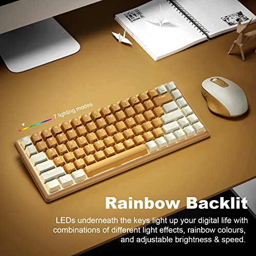 Xtremtec Clavier rétroéclairé sans fil Bluetooth hybride – Image 2