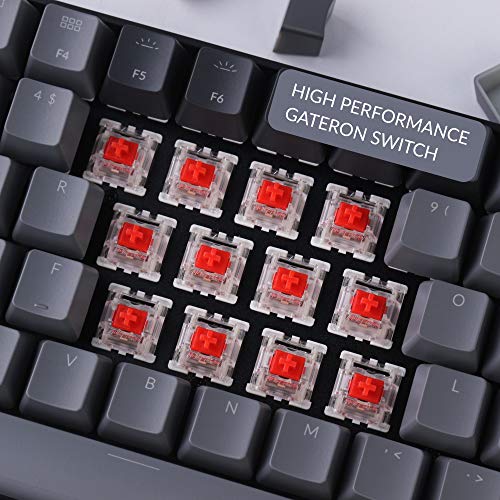 Keychron K4 96% Disposition 100 Touches Sans-2