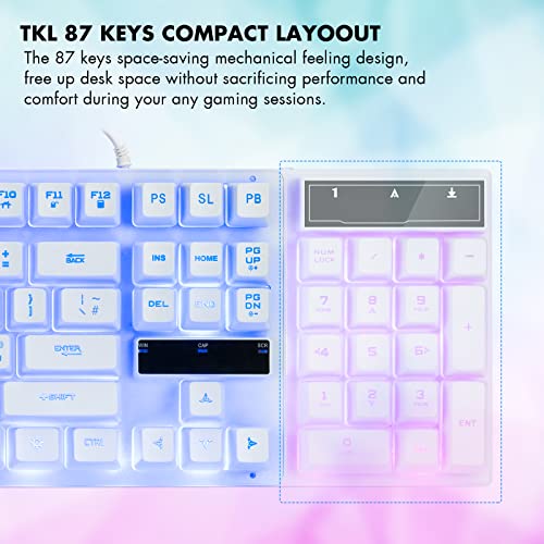 CHONCHOW White Rainbow 19 Clavier de jeu-2
