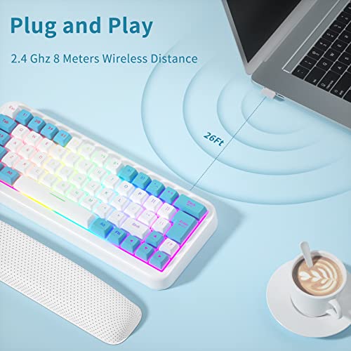 clavier